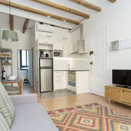 Apartments Sfamilia Barcelona Barcelona